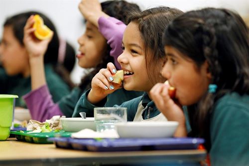 Children eating school meals